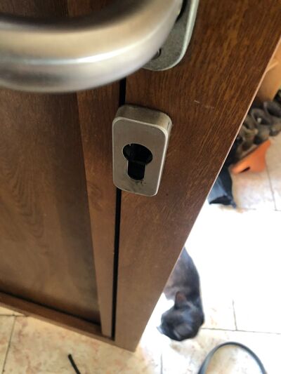 Poignée brossée et cylindre sur une porte en bois foncé